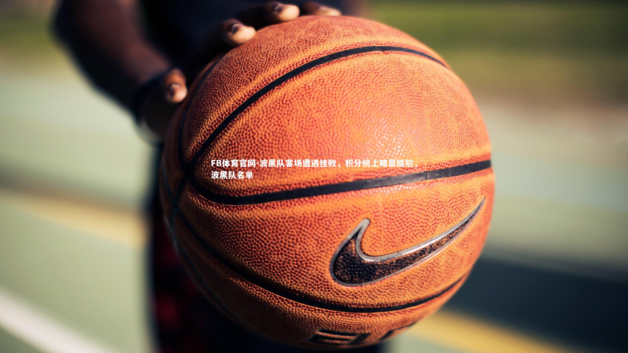 波黑队客场遭遇挫败，积分榜上略显尴尬，波黑队名单