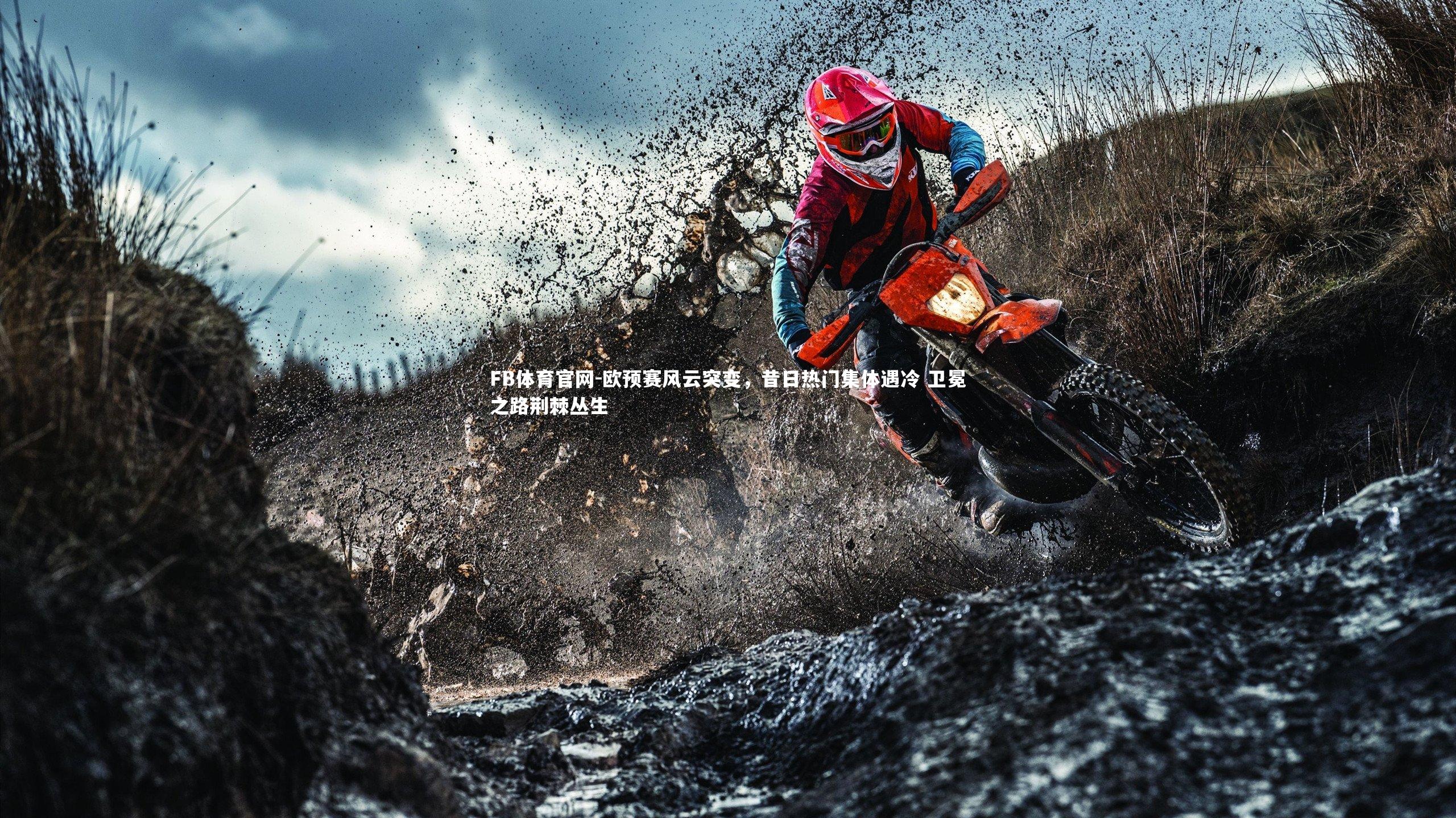 FB体育官网-欧预赛风云突变，昔日热门集体遇冷 卫冕之路荆棘丛生